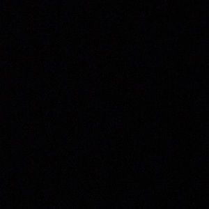 Meet your Posher, Tess